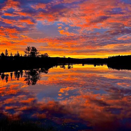 Burns Lake Bed And Breakfast المظهر الخارجي الصورة